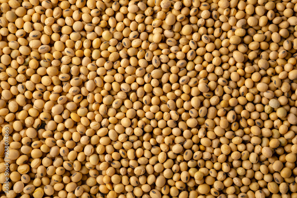 Raw soybeans background Raw soybeans background