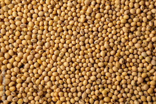 Raw soybeans background photo