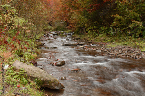 Mountain stream in autumn