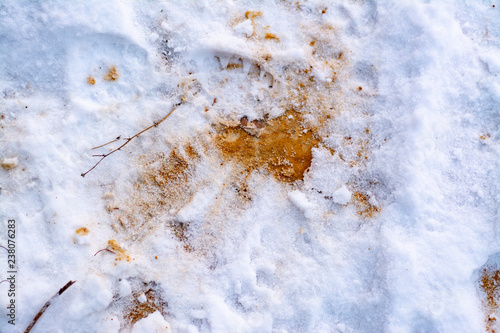 Sand under the snow © Николай Батаев