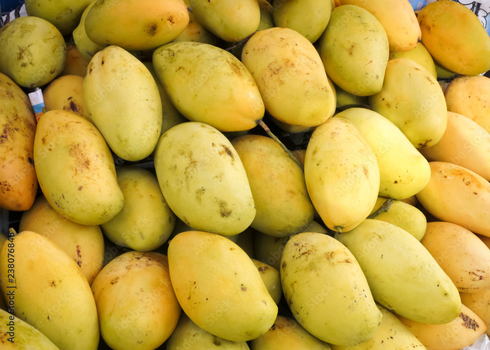 Fresh ripe yellow mango fruit in the market.