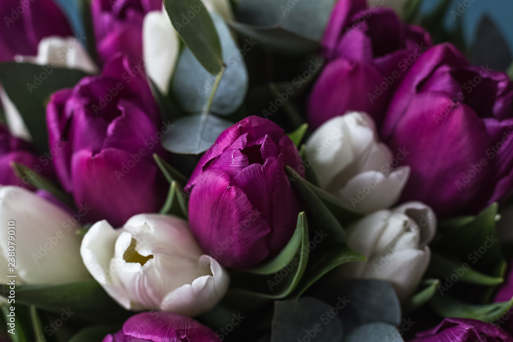 Obraz premium tulips in bloom