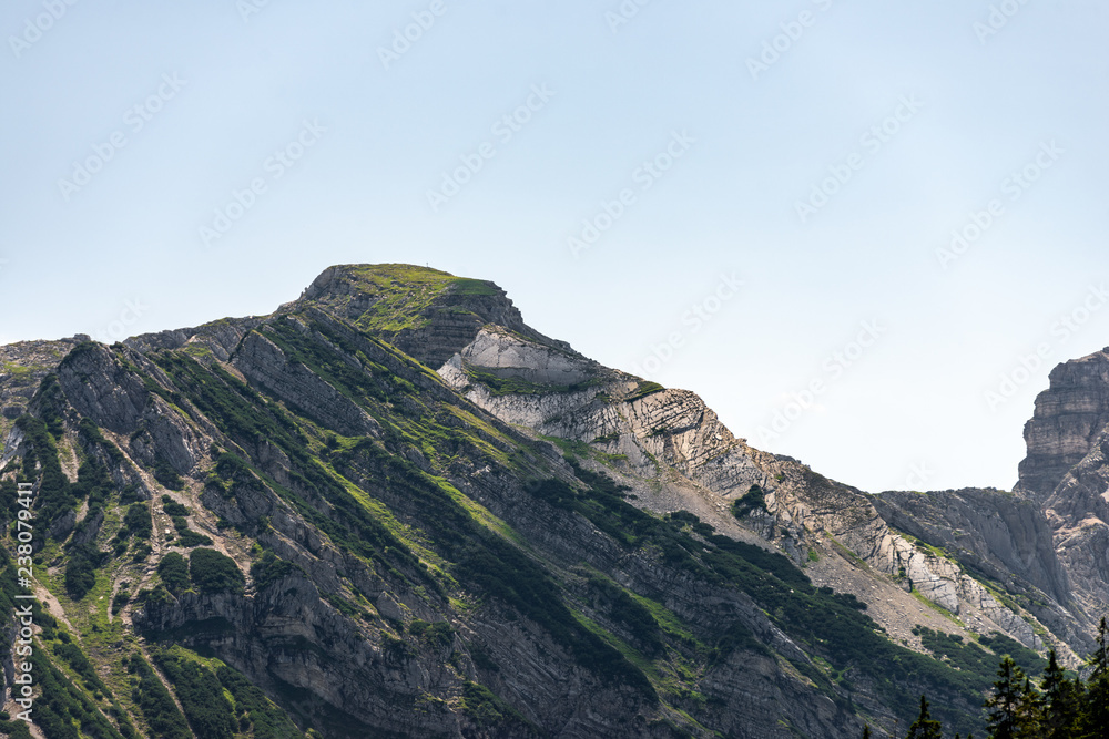 overgrown peak in the bavarian alps