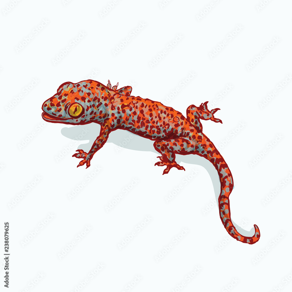 Fototapeta premium Gecko is sitting on flat gray surface. Vector illustration isolated on background. Reptile llustration for prints, t-shirt, books, textile, clothes 