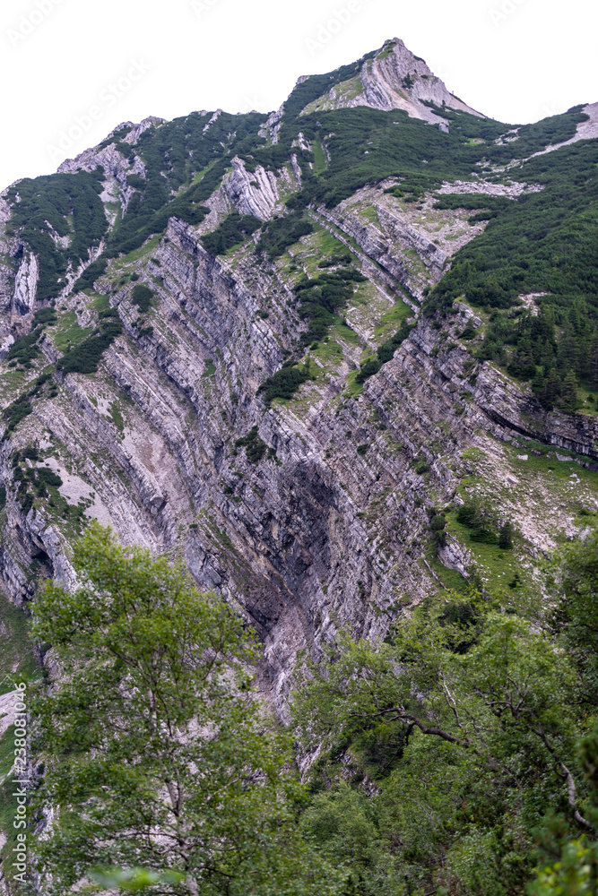 overgrown peak in the bavarian alps overgrown peak in the bavarian alps