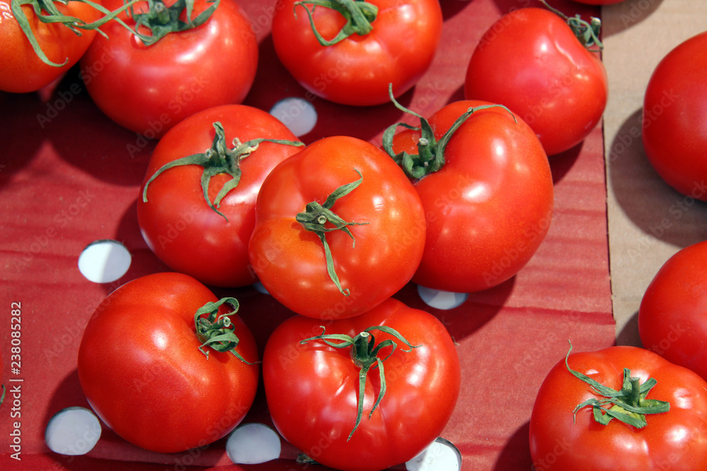red tomato harvest. many tomatoes red tomato harvest. many tomatoes
