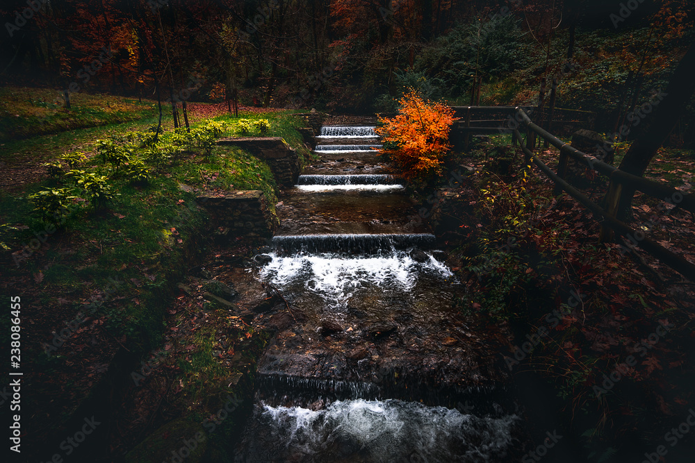 Obraz premium autumn vibes