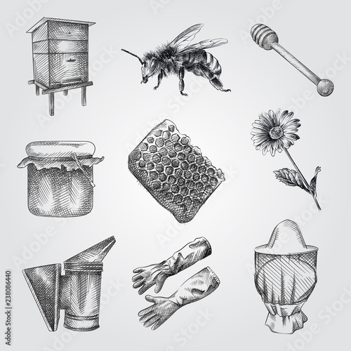 Hand Drawn Apiary Sketches Set. Collection Of honey, Honey dipper, bee smoker, flower, Beekeeper hat, Wooden hive. Honey and Beekeeping Sketches isolated on white background.