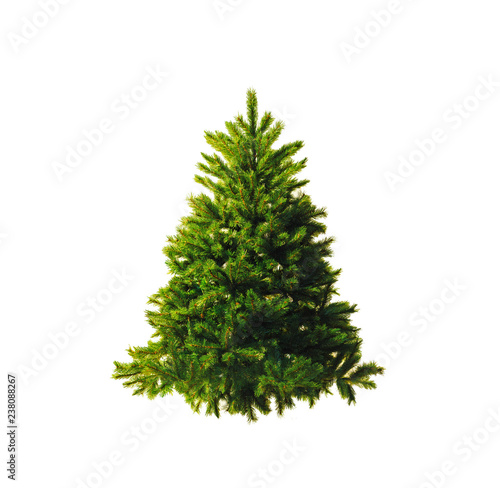Artificial spruce. Christmas tree without ornaments isolated on a white background