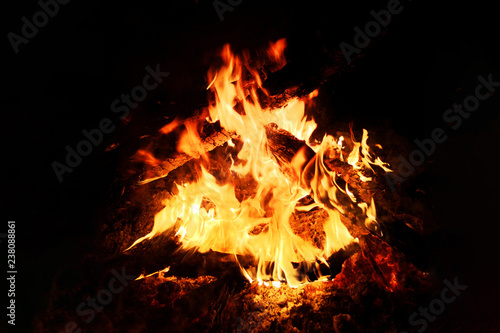Close-up of a burning beautiful bonfire on a black night background, burning hot glowing logs, high resolution
