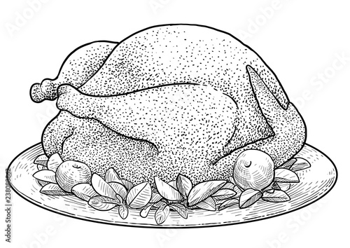 Cooked turkey illustration, drawing, engraving, ink, line art, vector