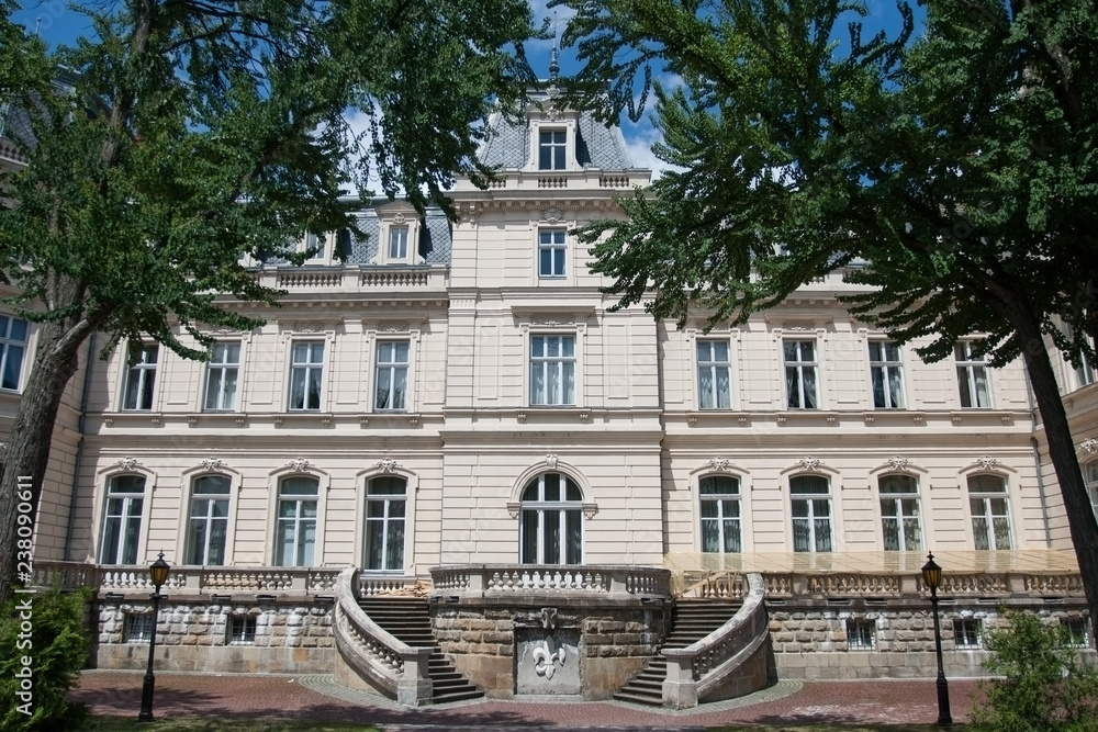 Fototapeta premium Lviv city