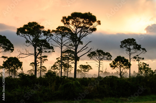 Florida Sunrise © Mark