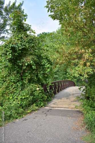 Metal bridge over a river