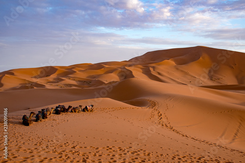 Beautiful colorful sunset in Erg Chebbi Dunes  Sahara Desert  Merzouga  Morocco  Africa