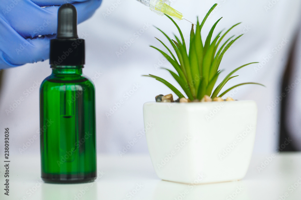 Skin care. Cosmetic science holistic plant lab organic skin Skin care. Cosmetic science holistic plant lab organic skin