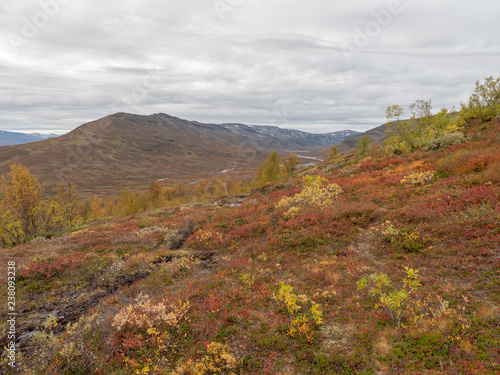 Autumn landscape in mountain. Abisko national park in Sweden. © Conny Sjostrom