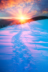 Papier peint photo Pourpre winter landscape after the storm  © panaramka