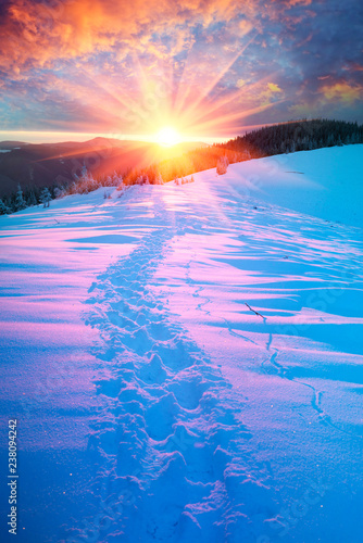 winter landscape after the storm