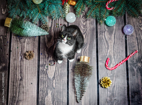 Photography New year flat lay