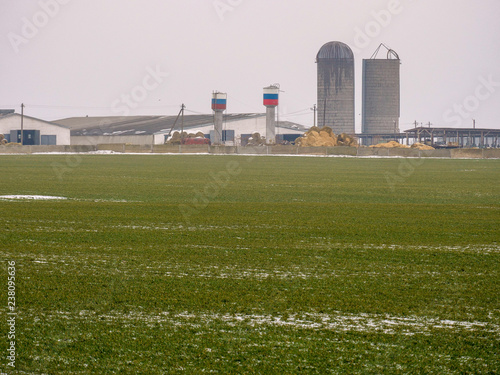 Field sown with winter wheat under the snow. Large cattle breeding complex for production of meat and milk. Subsidiary farm, Supply of grain, hay. Silo tower, barns in background.