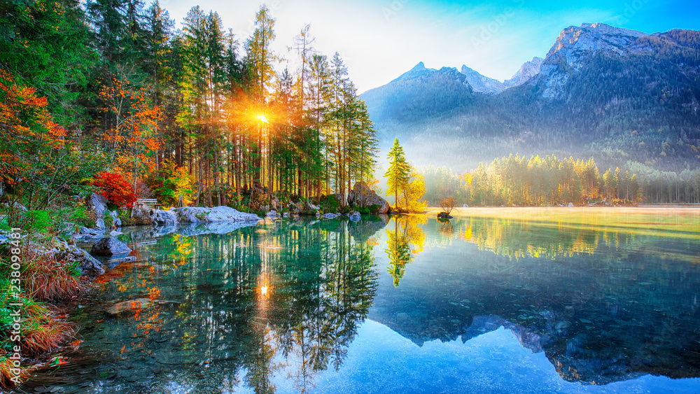 Obraz premium Beautiful autumn sunrise scene with trees near turquoise water of Hintersee lake