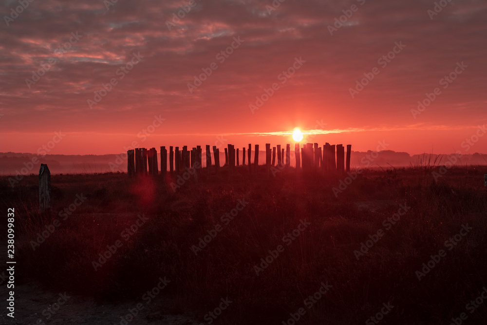 Obraz premium sunrise in national park regte heide - at an ancient grave