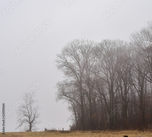 Countryside rural farmland