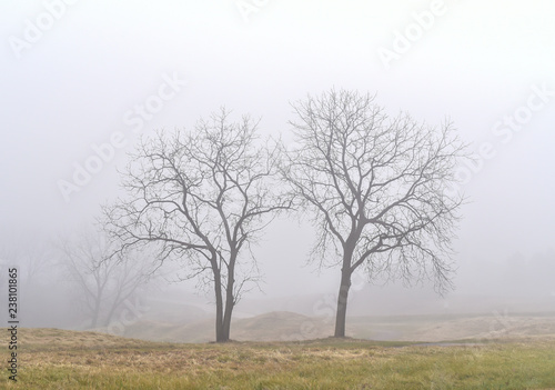 Countryside rural farmland