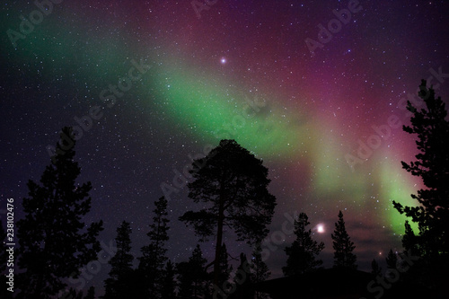 Night sky with Aurora Borealis, planet Jupiter and The Pleiades above boreal forest.