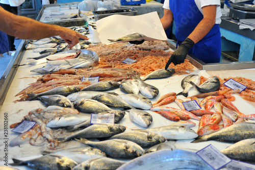 Einkauf in einem sizilianischen Fischladen photo