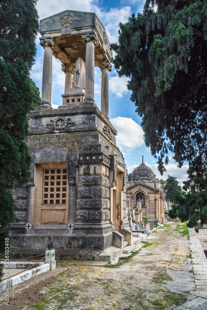 Obraz premium The Santa Maria Addolorata Cemetery in Paola, Malta is known as the Addolorata Cemetery, it opened in 1869 and is the largest cemetery in Malta.