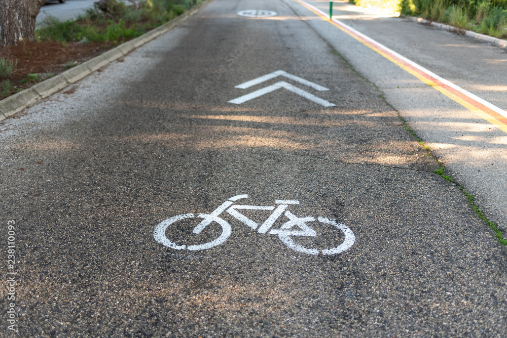 Fototapeta premium Traffic sign painted on the ground indicating bike lane