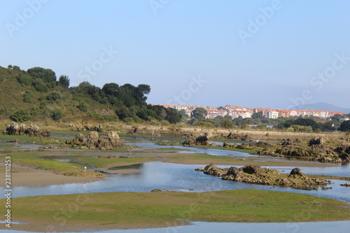 parque natural marismas de santoña,Victoria y joyel,en Soano,cantabria españa photo