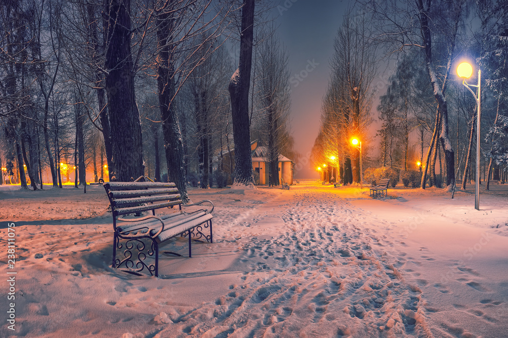 Obraz premium Winter evening in a central park.