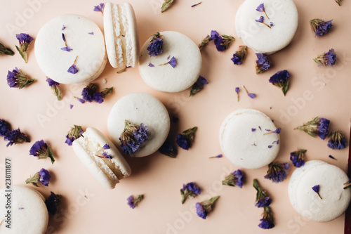 Composition of delicious macaroons and purple flowers