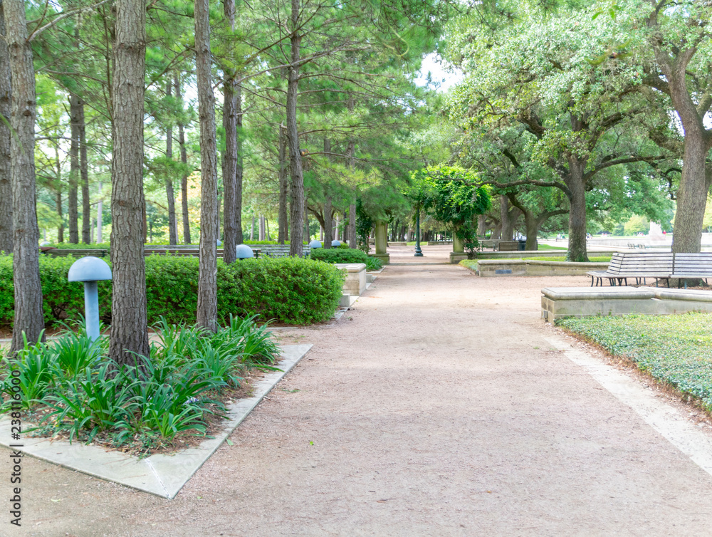 path in the park