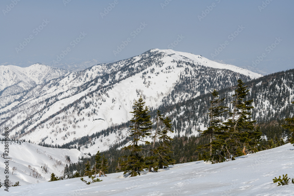 Obraz premium 会津駒ヶ岳から見た三岩岳