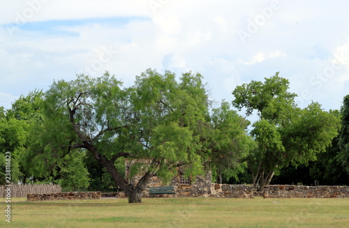 Trees with the ruins on background in San Antonio Missions National Historical Park, Texas