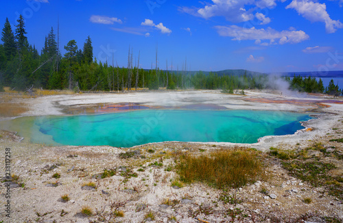 View of turquoise water pools in the West Thumb Geyser Basin in Yellowstone National Park, United States © eqroy