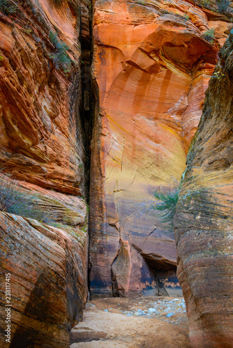 Sandstone canyon walls in Zion National Park