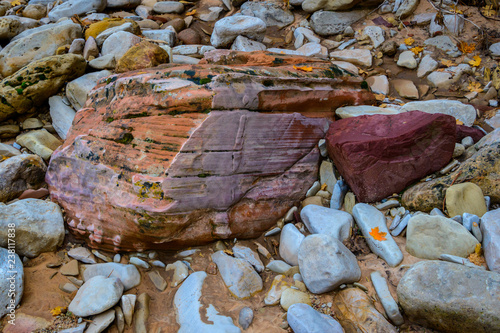 Colorful rocks and autumn leaves in dry riverbed of Zion National Park