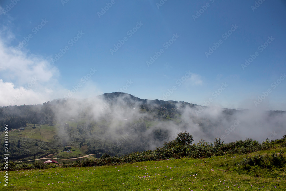 View of high plateau village, forest and mountain in fog creating beautiful nature scene. The image is captured in Trabzon/Rize area of Black Sea region located at northeast of Turkey.