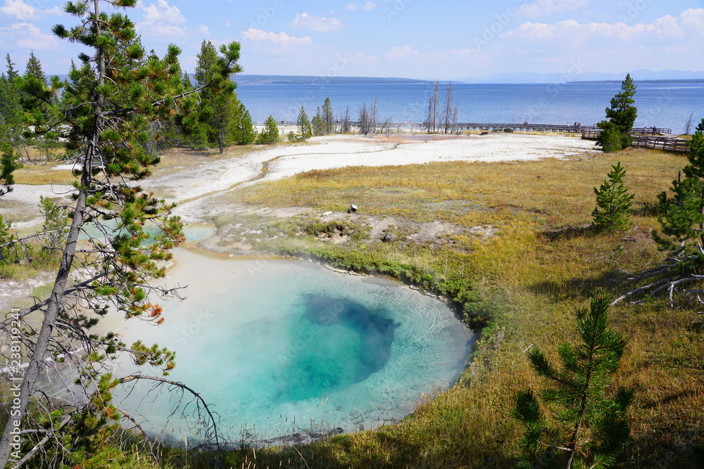 View of turquoise water pools in the West Thumb Geyser Basin in Yellowstone National Park, United States View of turquoise water pools in the West Thumb Geyser Basin in Yellowstone National Park, United States