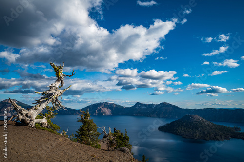 Crater Lake Oregon with dead tree and clouds