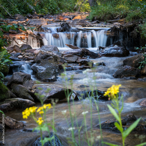 Mountain stream with waterfall and wildflowers