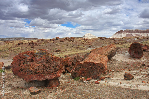 Large petrified wood trunks under gathering storm clouds in Petrified Forest National Park, Arizona. photo