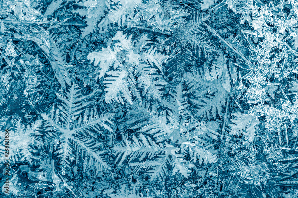 snowflakes crystals macro image. beautiful winter and christmas background - obrazy, fototapety, plakaty 