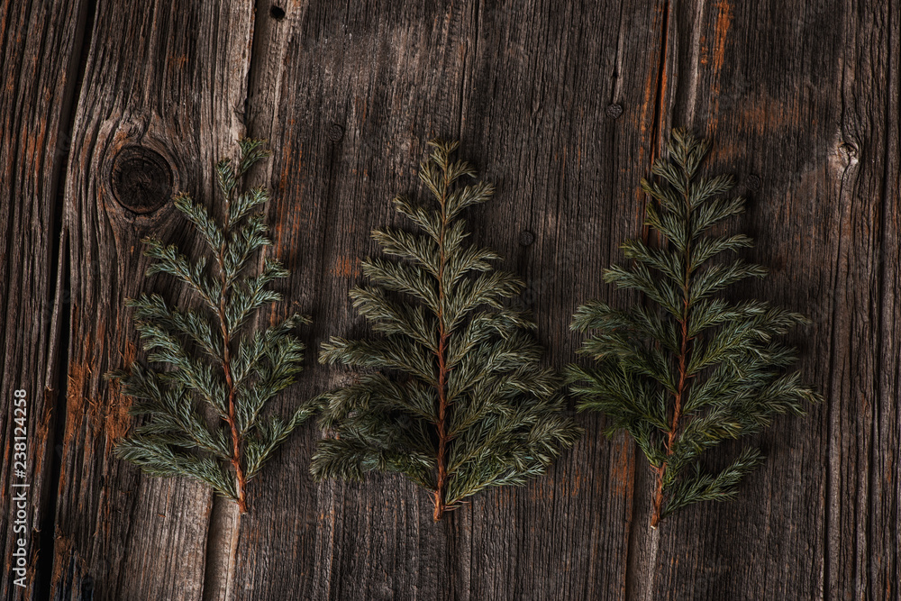 pine branch on wooden background pine branch on wooden background