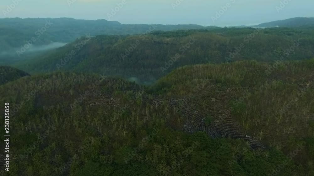 aerial view of forest aerial view of forest